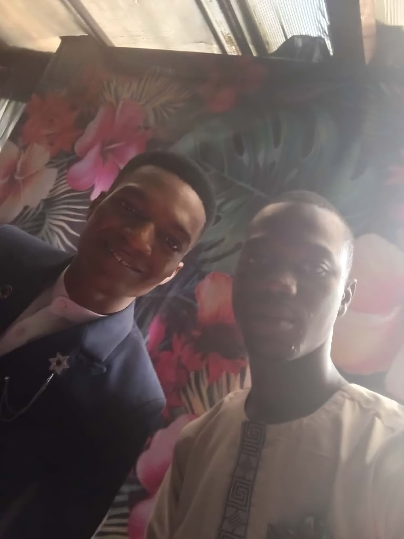 Lantern - The Vine 2025